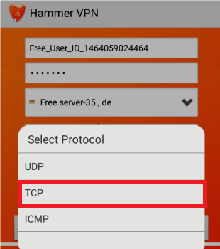 Globe Hammer VPN Settings