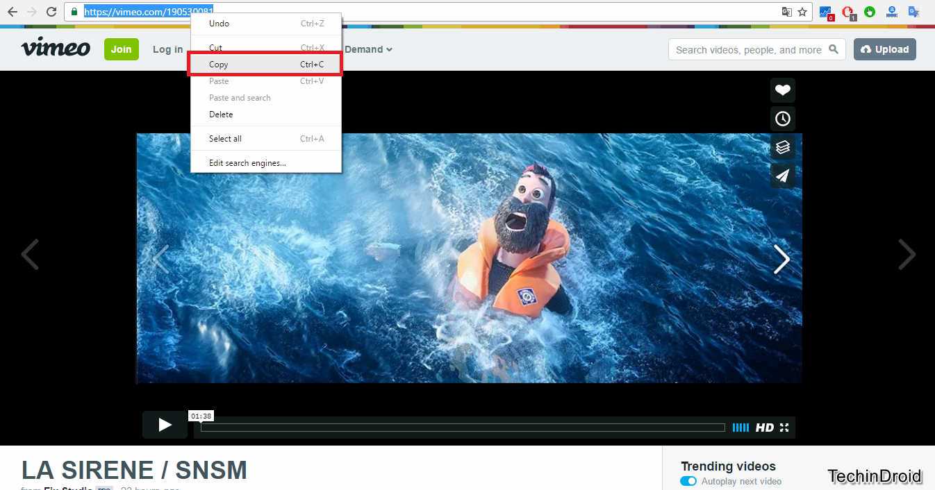 download vimeo videos chrome