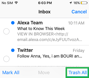 How to Delete emails on iPhone, iPad, or iPod touch