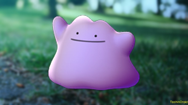 5. How to capture Ditto