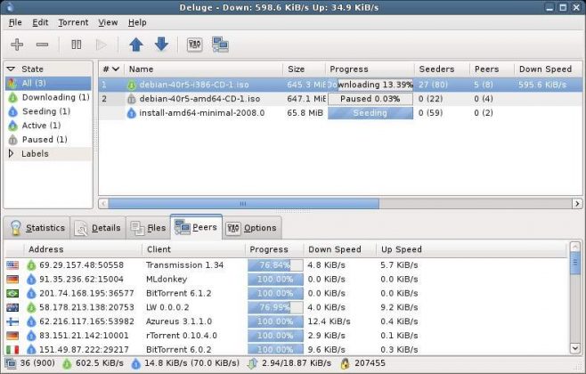 best bittorrent client with connection guide