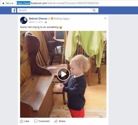 How to Download Videos from Facebook