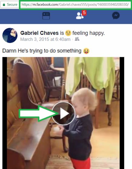 How to Download Facebook Videos